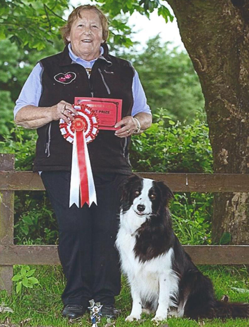 Advanced Dog Training - Competition winner