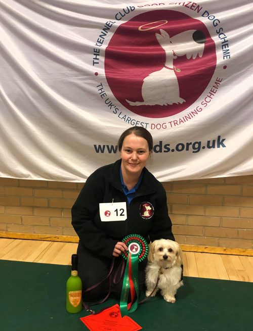 Qualifying for Crufts Special Pre- Beginners