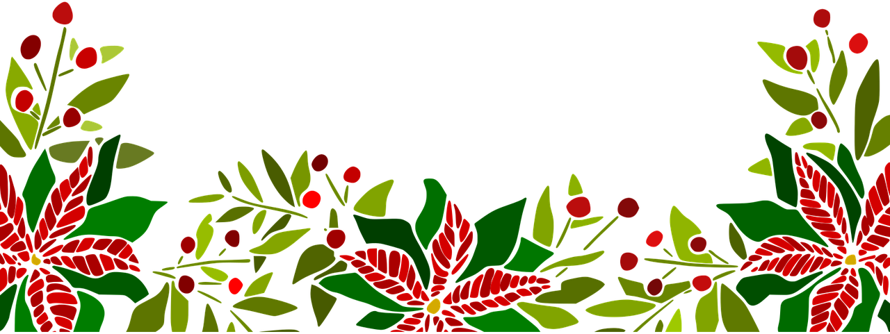 poinsettia